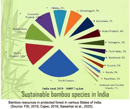 bamboo in Indian Economy