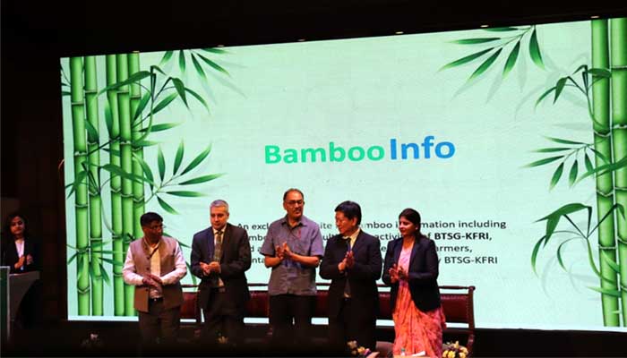 Exclusive website for Bamboo information 