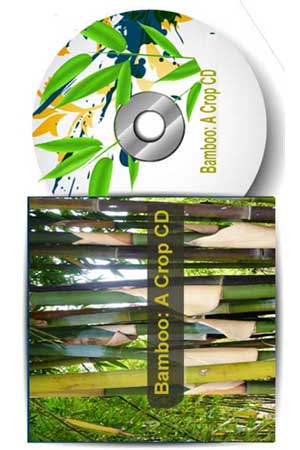 Bamboo: A Crop CD