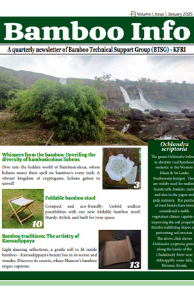 Bamboo info Newsletter - January, 2025