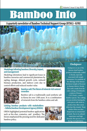 Bamboo info Newsletter - July, 2025