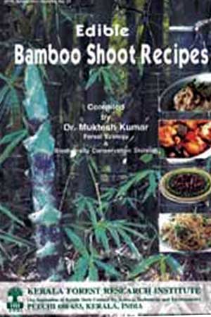 Edible Bamboo Shoot Recipes