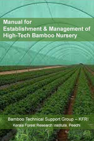 Manual for Establishment and Management of High-Tech Bamboo Nursery