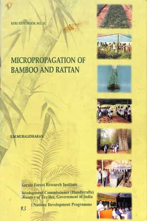 Micropropagation of Bamboo and Rattan